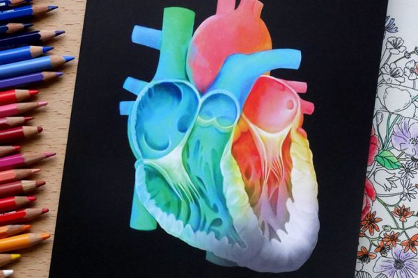 Colourful thesis book cover __ medical art (1)